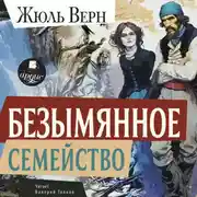 Постер книги Безымянное семейство