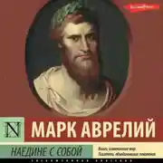 Постер книги Наедине с собой
