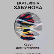 Постер книги Квест для принцессы