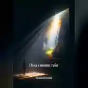 Постер книги Пока я помню тебя