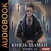 Постер книги Князь шаман. Книга 10