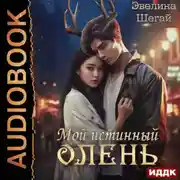 Постер книги Мой истинный олень