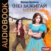 Постер книги (Не) зажигай меня