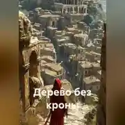 Постер книги Дерево без кроны