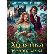 Постер книги Хозяйка темного замка