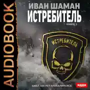 Постер книги Истребитель