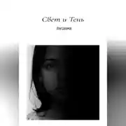 Постер книги Свет и Тень