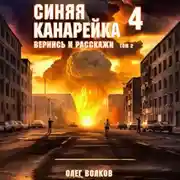 Постер книги Вернись и расскажи. Том II