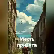 Постер книги Месть привата