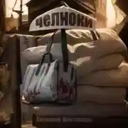 Постер книги Челноки