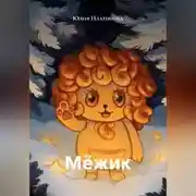 Постер книги Мёжик