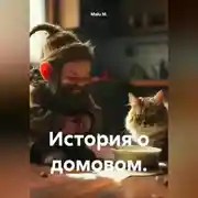 Постер книги История одного домового