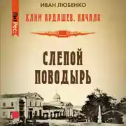 Постер книги Слепой поводырь