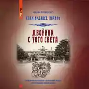 Постер книги Двойник с того света