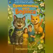 Постер книги Приключения кота Бориса