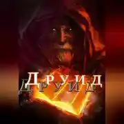 Постер книги Друид