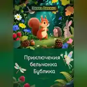 Постер книги Приключения бельчонка Бублика