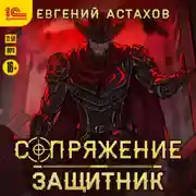 Постер книги Защитник