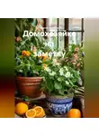 Сергей Чувашов - Домохозяйке на заметку.
