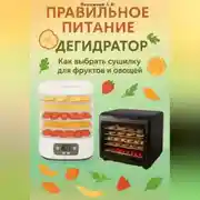 Постер книги Правильное питание: Дегидратор. Как выбрать сушилку для фруктов и овощей