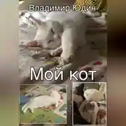 Постер книги Мой кот
