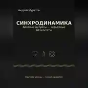 Постер книги «Синхродинамика: Веселые ритуалы – серьезные результаты»