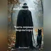 Постер книги Поле наблюдателя. Часть первая: Борластерн.