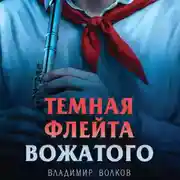 Постер книги Темная флейта вожатого