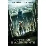 Постер книги Бегущий по лабиринту