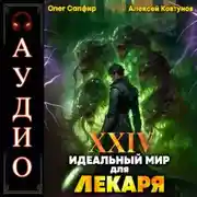 Постер книги Идеальный мир для Лекаря 24