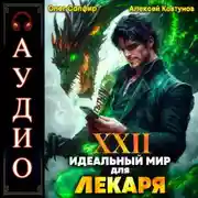 Постер книги Идеальный мир для Лекаря 22