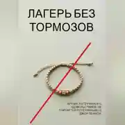 Постер книги Лагерь без тормозов