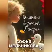 Постер книги Маленькая взрослая история