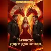 Постер книги Невеста двух драконов
