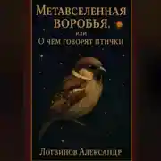 Постер книги Метавселенная воробья, или О чём говорят птички