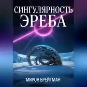 Постер книги Сингулярность Эреба