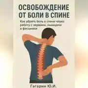 Постер книги Освобождение от боли в спине: как убрать боль в спине через работу с нервами, мышцами и фасциями