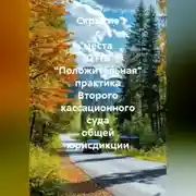 Постер книги Скрытие с места ДТП. «Положительная» практика Второго кассационного суда общей юрисдикции