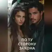 Постер книги По ту сторону закона