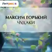 Постер книги Чудаки