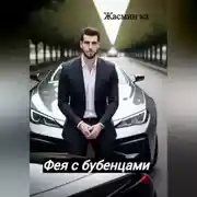 Постер книги Фея с бубенцами