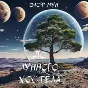 Постер книги До лунного хостела