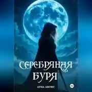Постер книги Серебряная буря