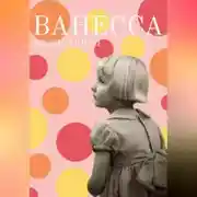Постер книги Ванесса