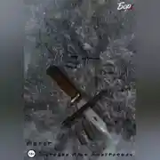 Постер книги Изгой