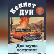 Постер книги Два мужа золушки
