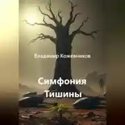 Постер книги Симфония Тишины