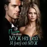 Постер книги Муж На Раз