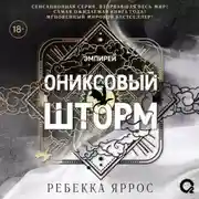 Постер книги Ониксовый шторм