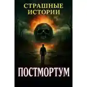 Постер книги Постмортум
